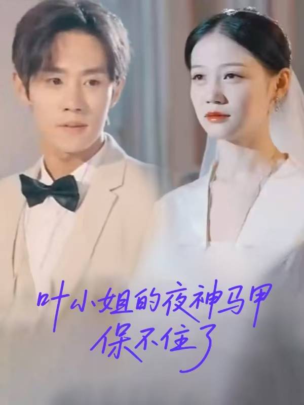 叶小姐的夜神马甲保不住了封面