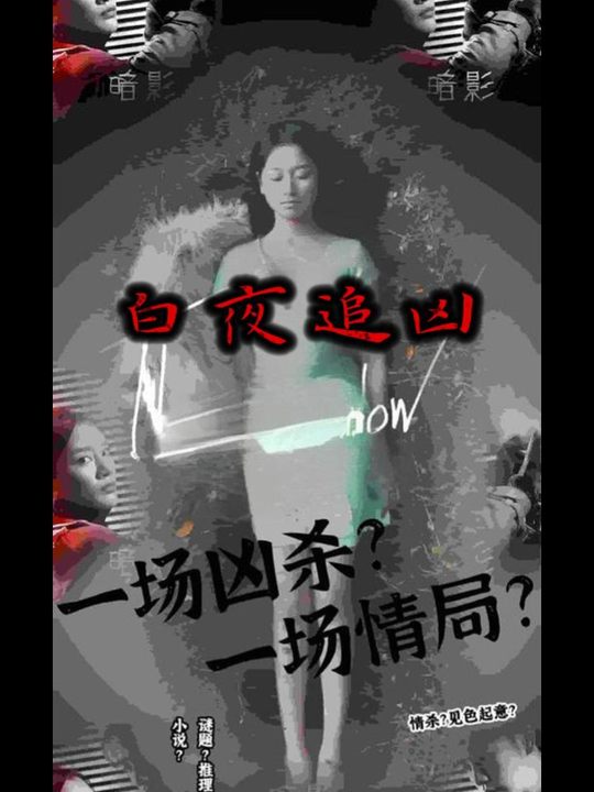 白夜追凶封面