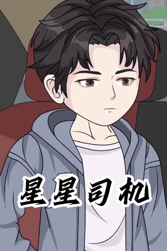 星星司机封面