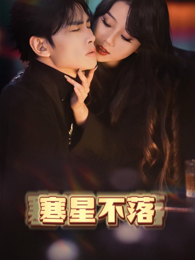 寒星不落封面