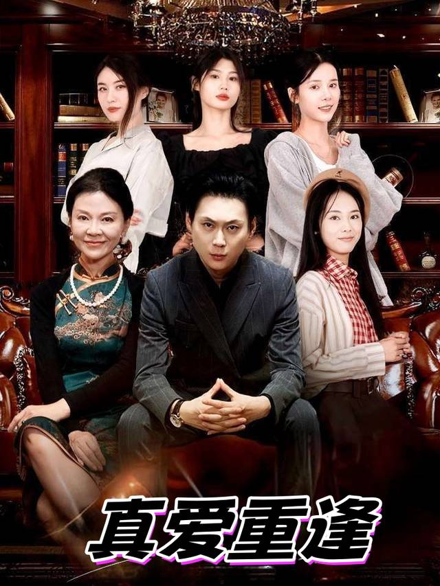 真爱重逢封面