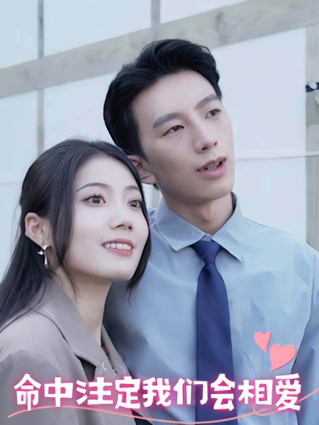 命中注定我们会相爱封面