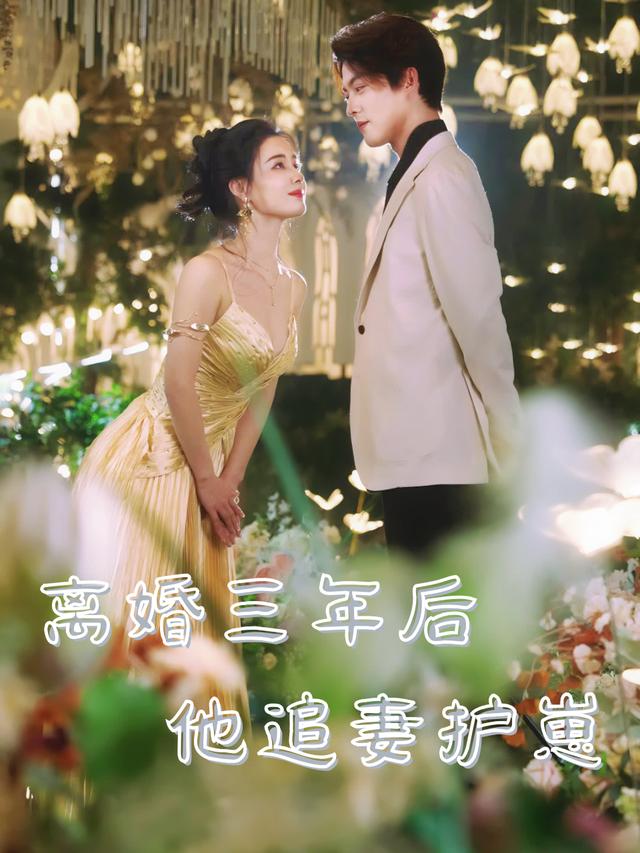 离婚三年后他追妻护崽封面