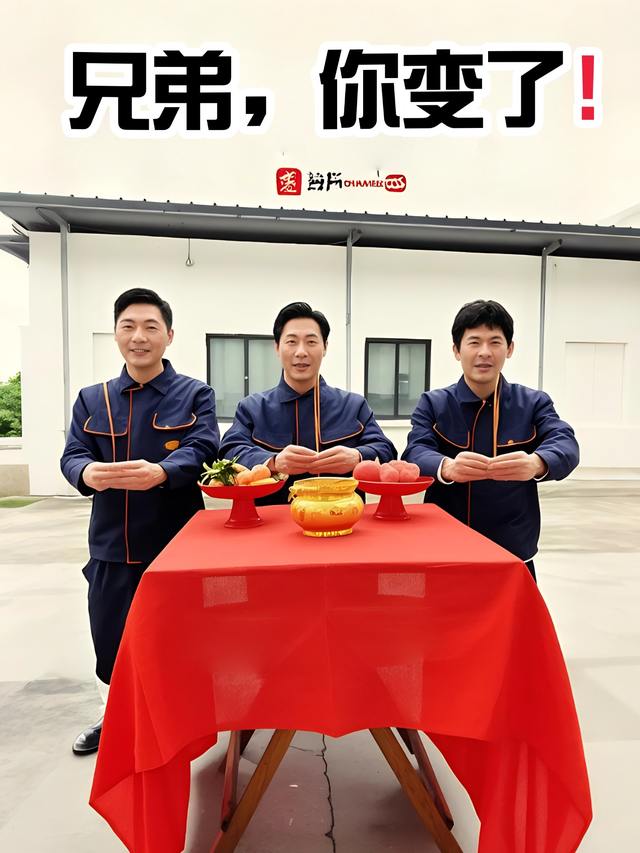 兄弟,你变了封面