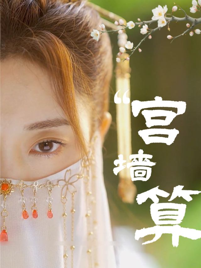 宫墙算封面