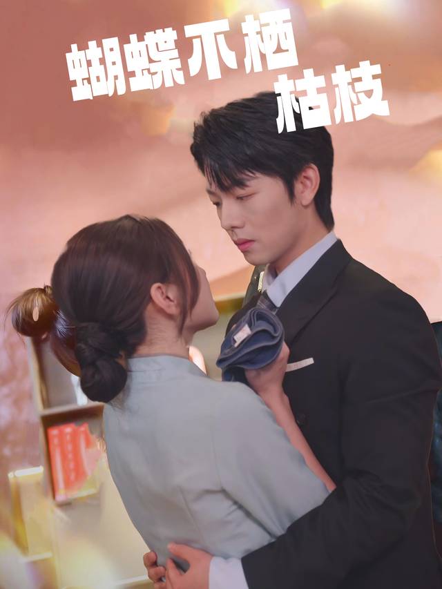 蝴蝶不栖枯枝封面