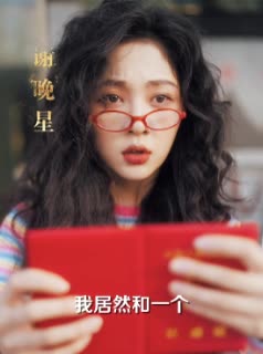 闪婚大冒险封面