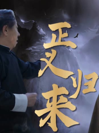 正义归来封面