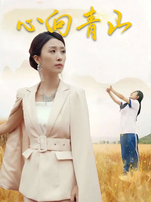 心向青山封面