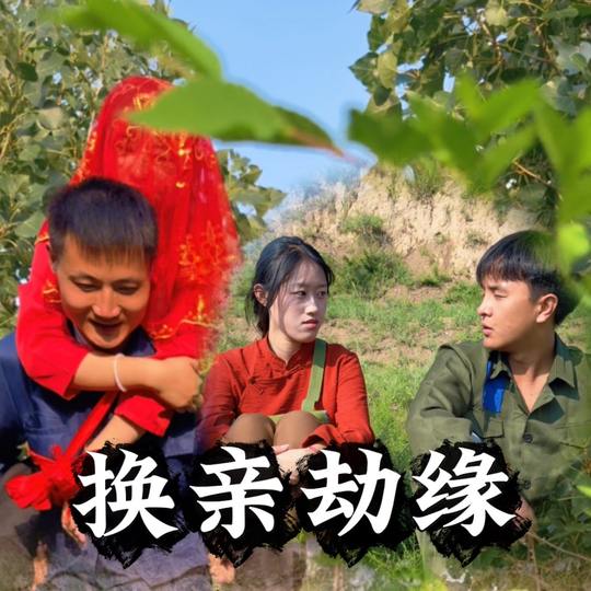 换亲劫缘封面