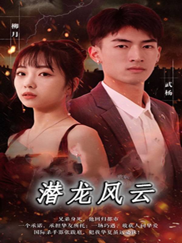 潜龙风云封面