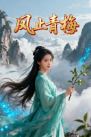 风止青梅封面