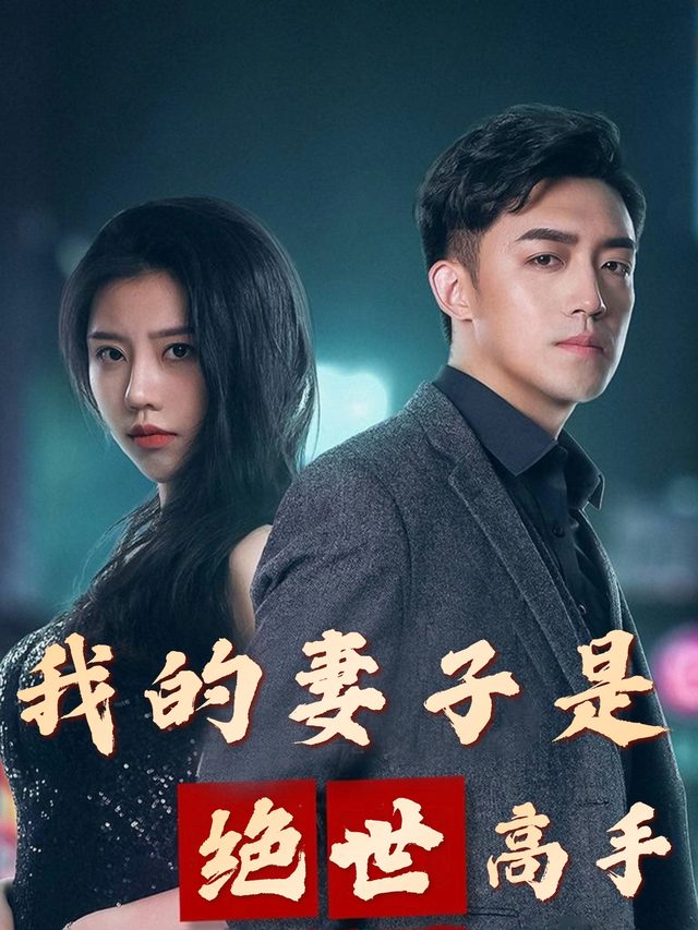 我的妻子是绝世高手封面