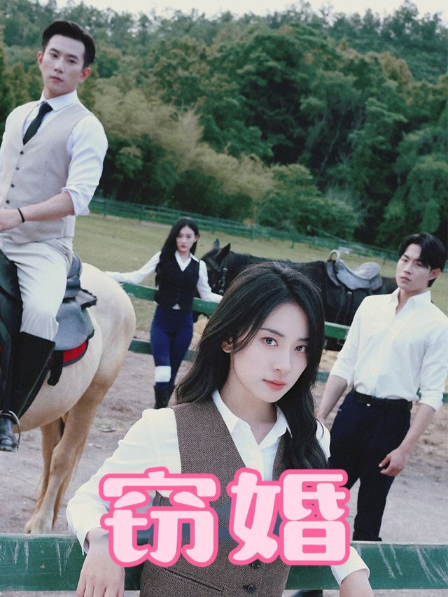 窃婚封面