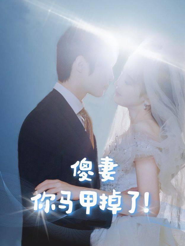 傻妻,你马甲掉了!封面
