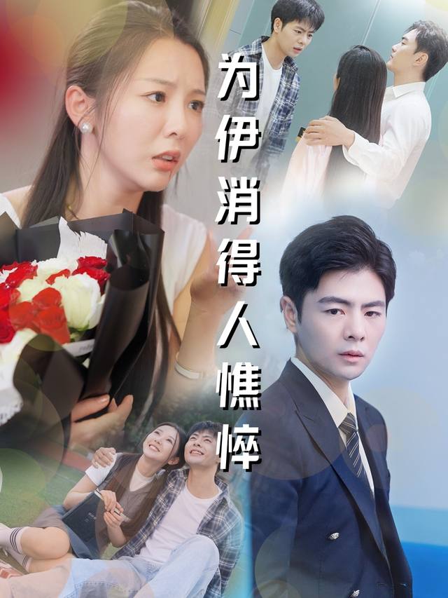 为伊消得人憔悴封面
