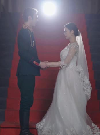 督军的追妻之路封面