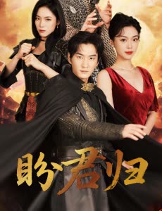 盼君归封面
