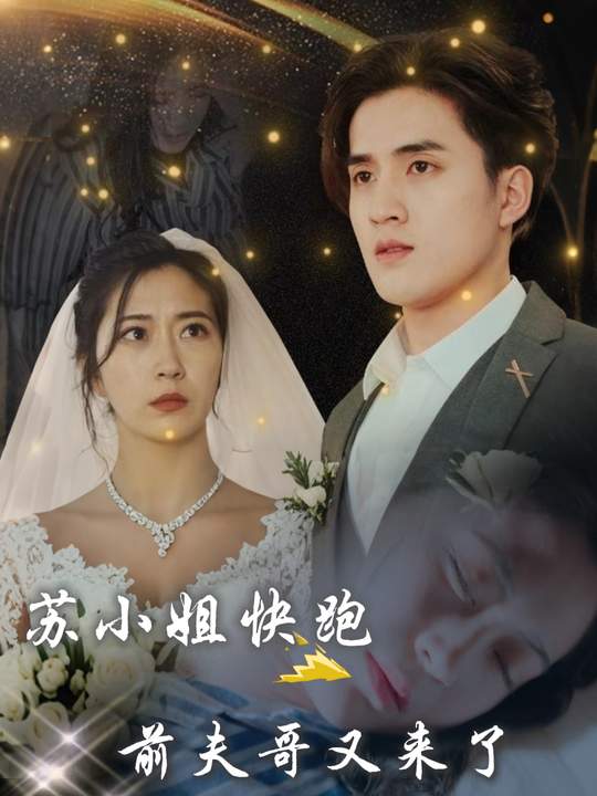 苏小姐快跑,前夫哥又来了封面