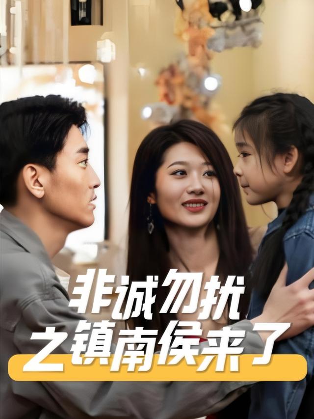 非诚勿扰之镇南侯来了封面