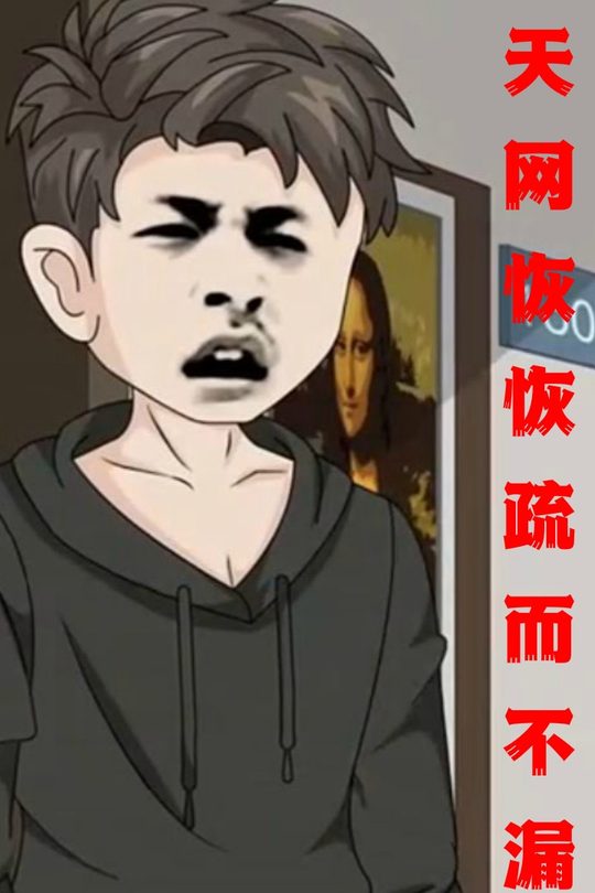 天网恢恢,疏而不漏封面