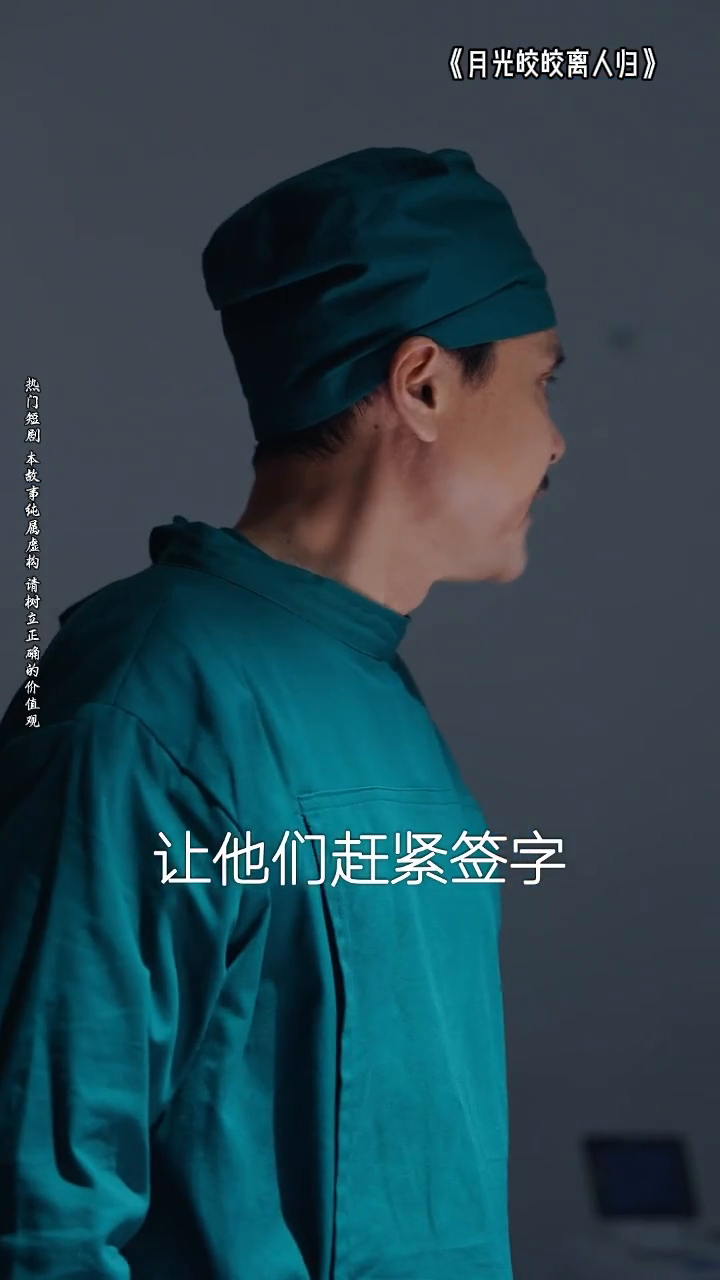 月光皎皎离人归封面
