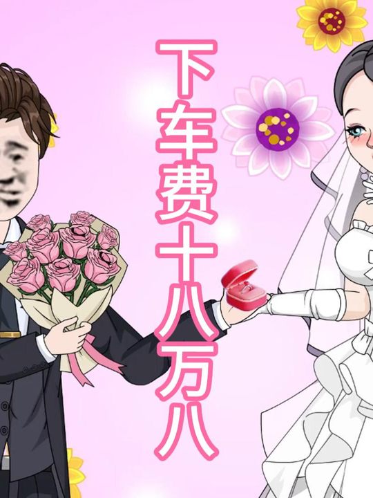 下车费十八万八封面