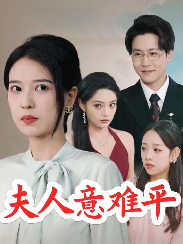 夫人意难平封面