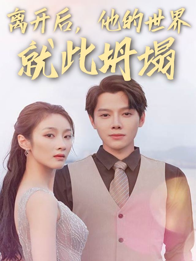 离开后,他的世界就此坍塌封面