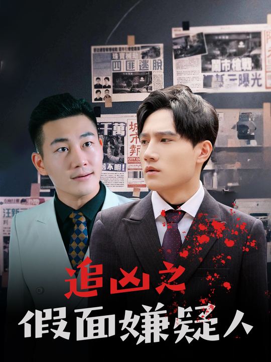 追凶之假面嫌疑人封面