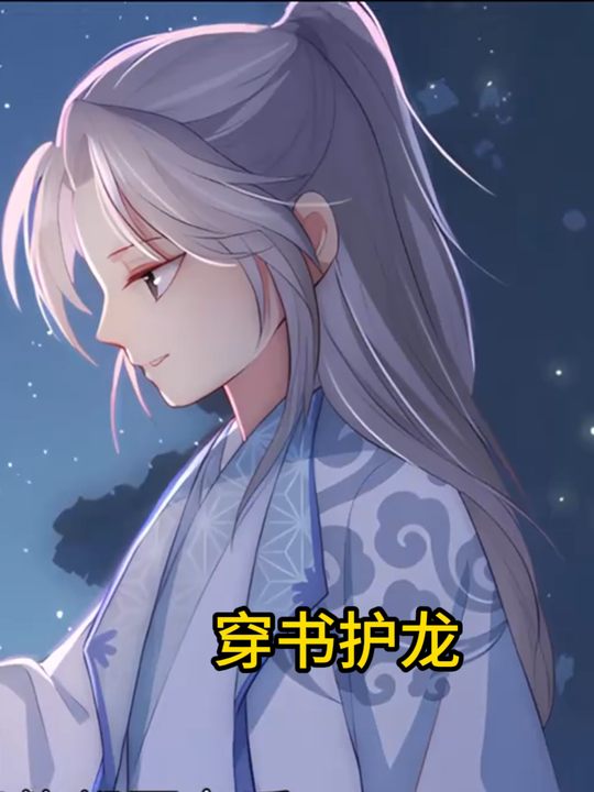 穿书护龙封面