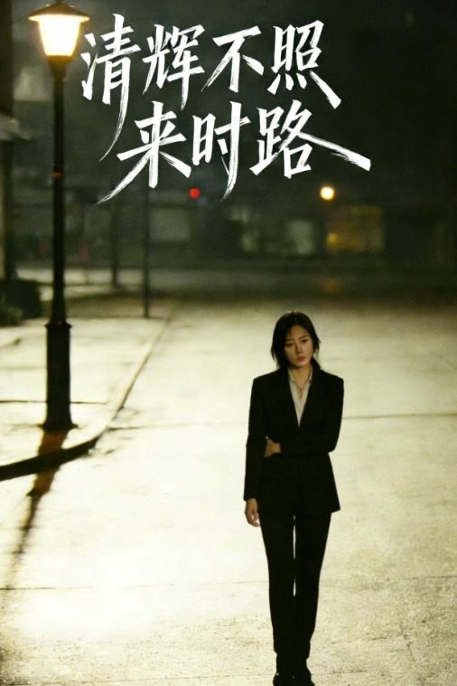 清辉不照来时路封面