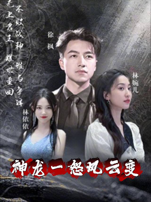 神龙一怒风云变封面