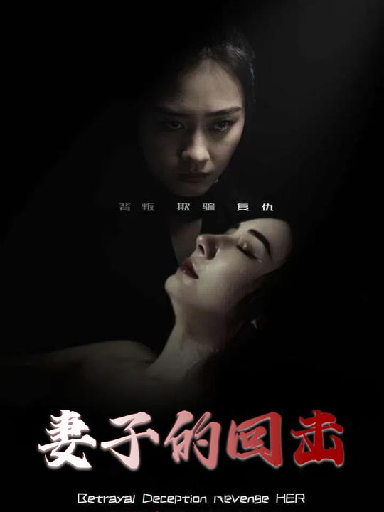 妻子的回击封面