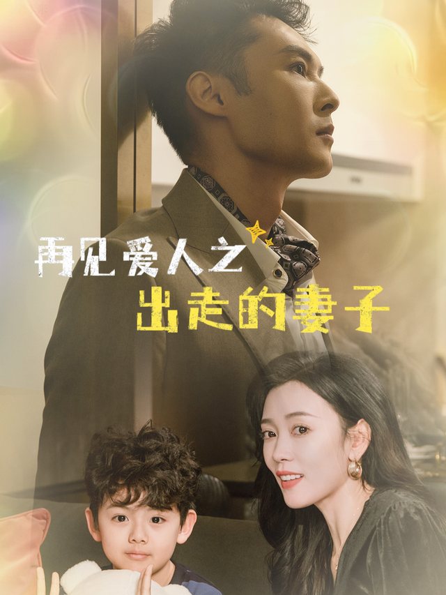 再见爱人之出走的妻子封面
