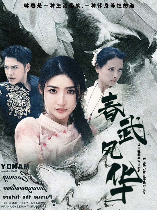 春武风华封面