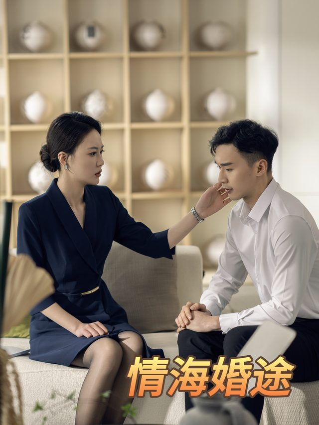情海婚途封面