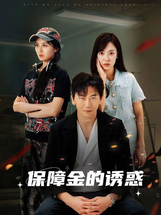 保障金的诱惑封面