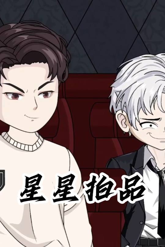 星星拍品封面