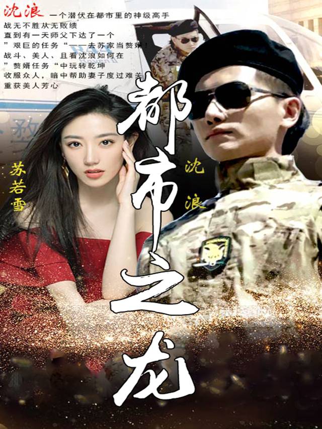 都市之龙封面