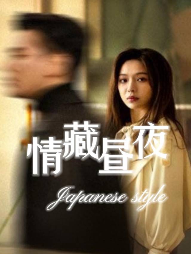 情藏昼夜封面