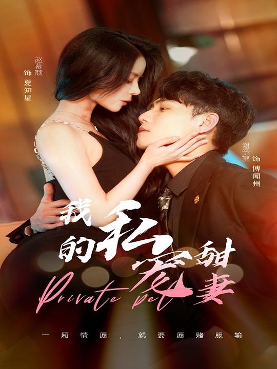 我的私宠甜妻封面