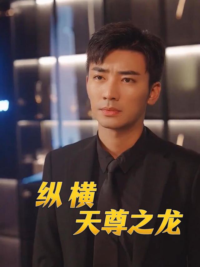 纵横天尊之龙封面