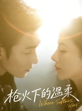 枪火下的温柔封面