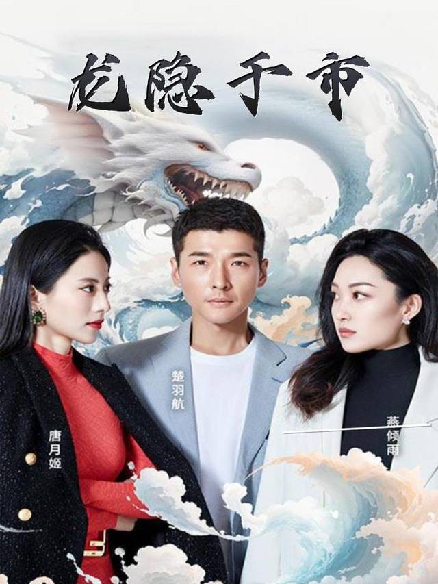 龙隐于市封面
