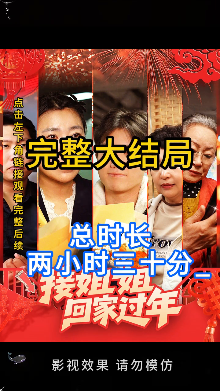 接姐姐回家过年封面