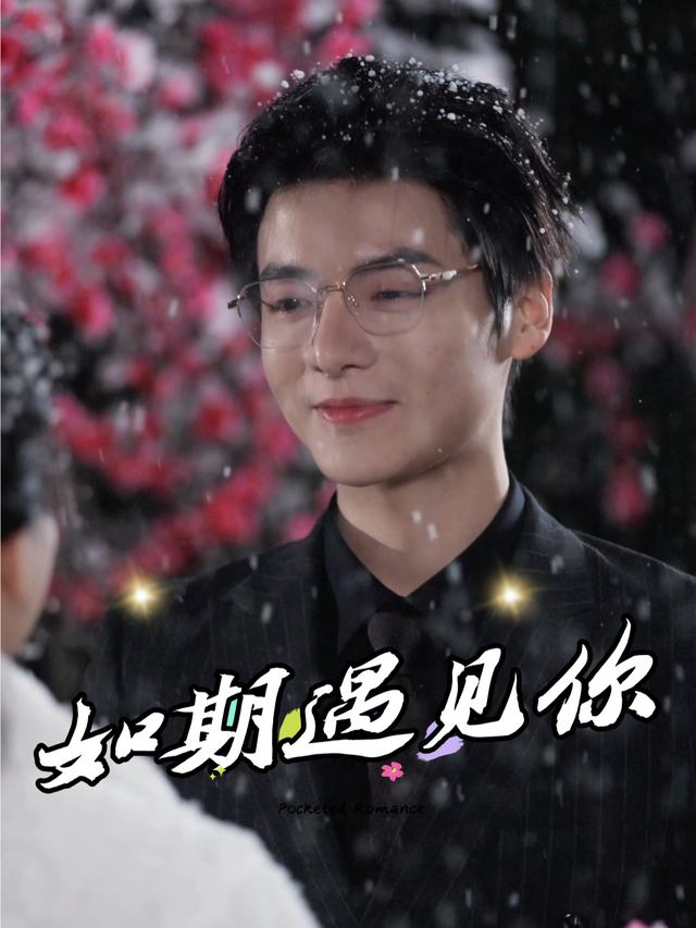 如期遇见你封面