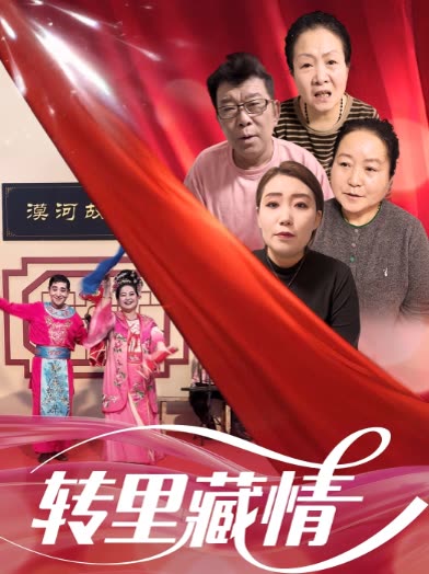 转里藏情封面