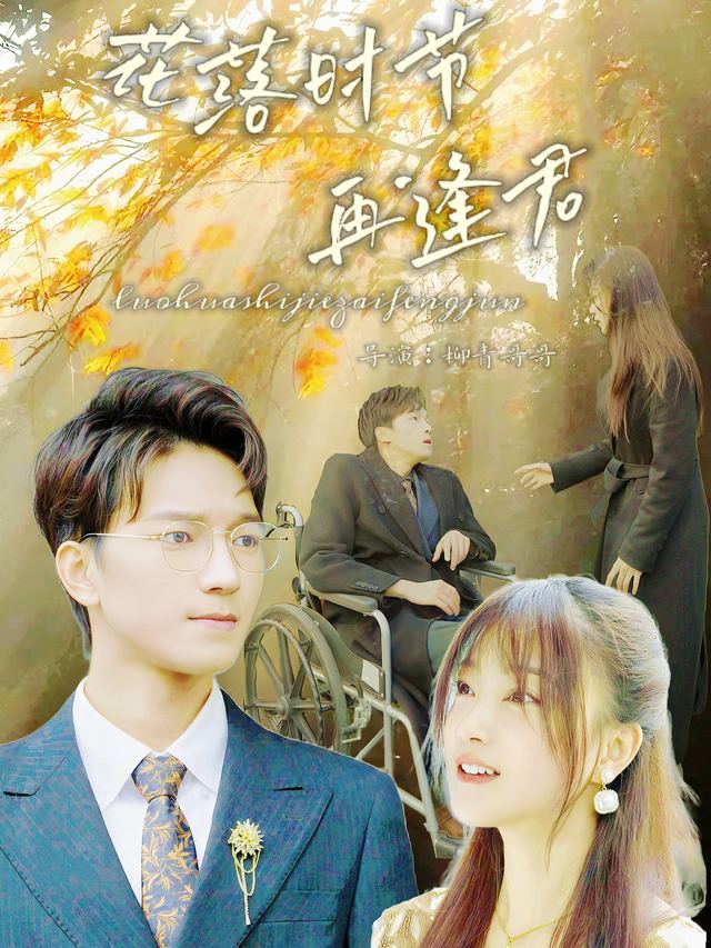 花落时节在逢君封面