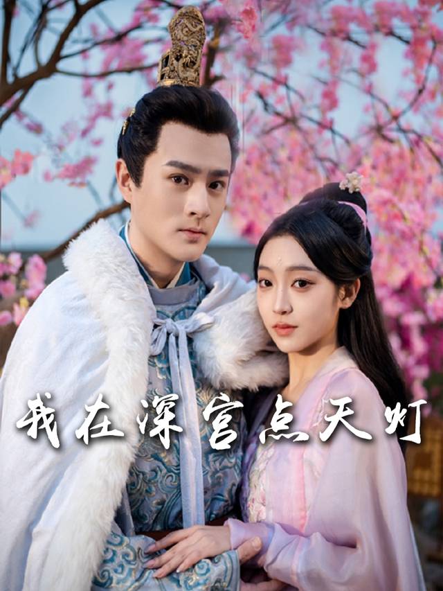 我在深宫点天灯封面